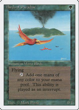 Birds of Paradise #187