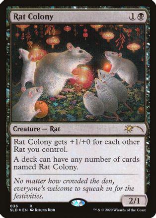 Rat Colony #36