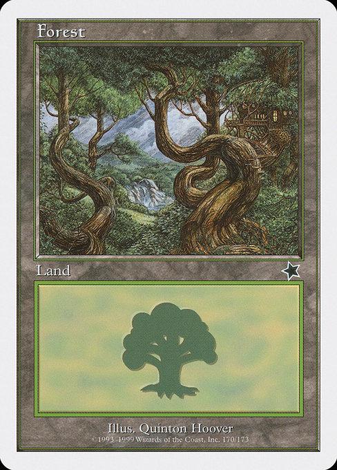 Forest #170