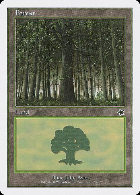 Forest #172