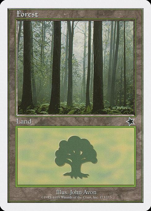 Forest #173