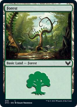 Forest #374