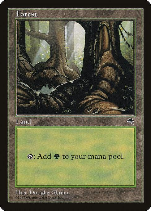 Forest [B]