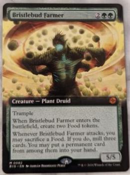 Bristlebud Farmer #82