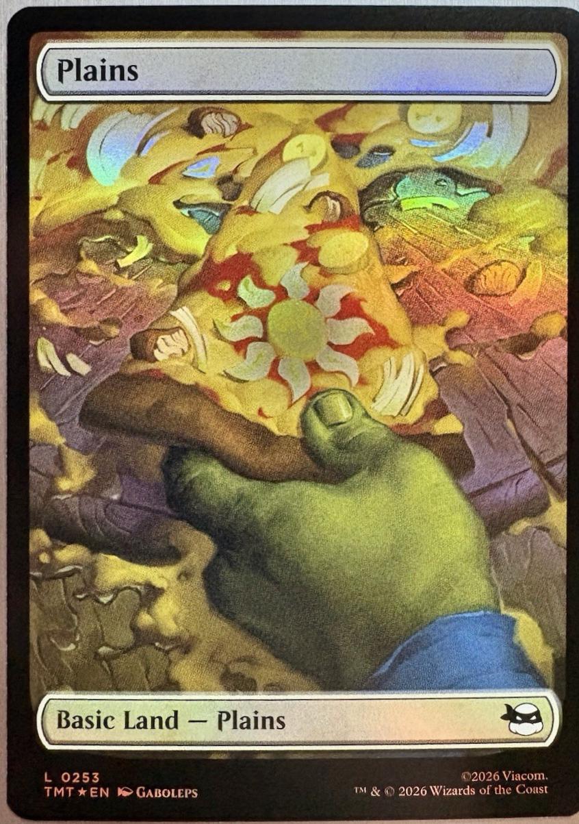 Plains [Foil] #253