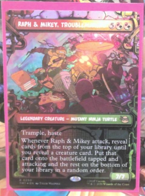 Raph & Mikey, Troublemakers [Showcase Foil] #250
