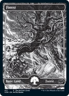 Forest [Moonlit Land Foil] #412