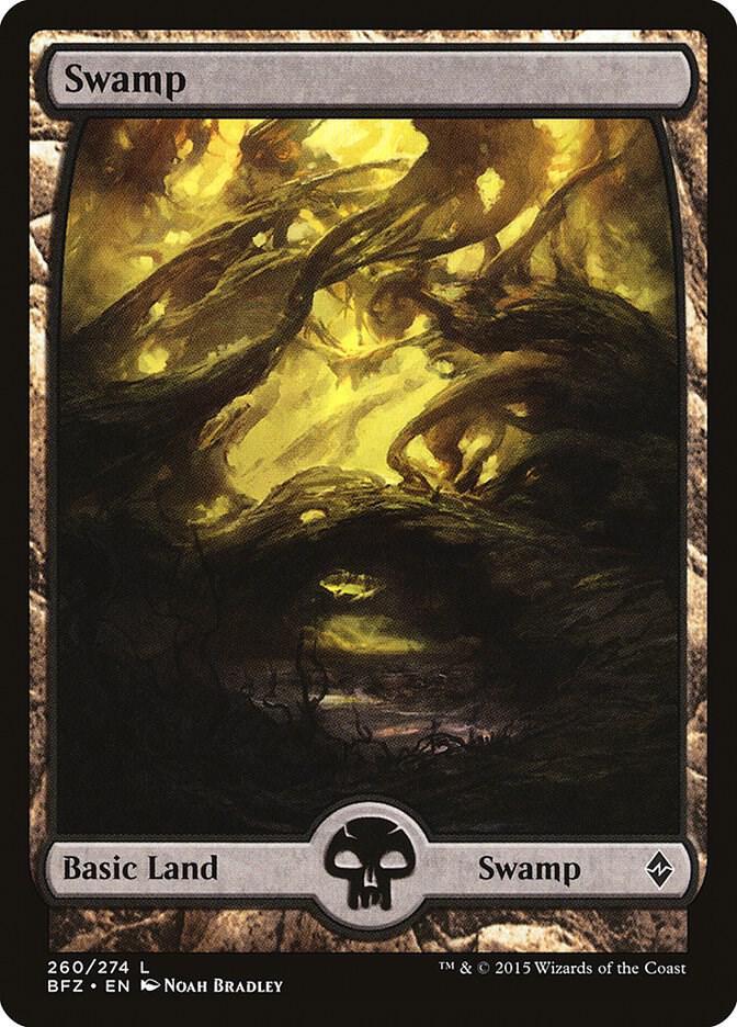 Swamp [Full Art Foil] #260