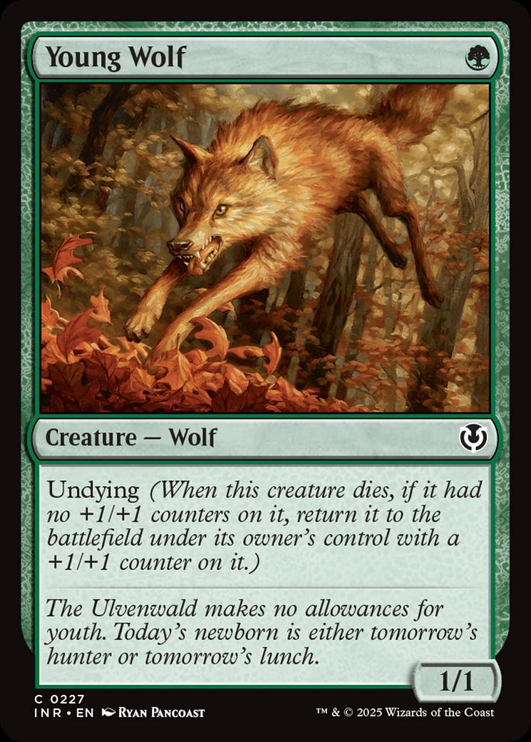 Young Wolf [Foil] #227