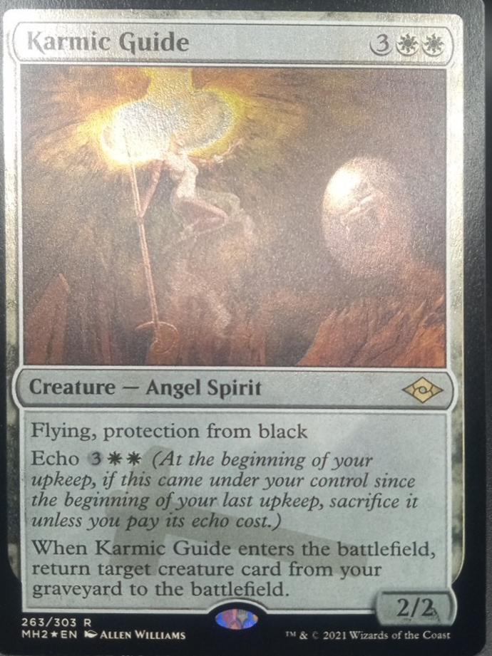 Karmic Guide [Foil] #263