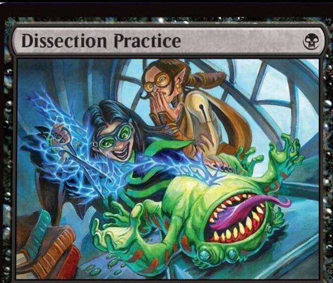 Dissection Practice] #79