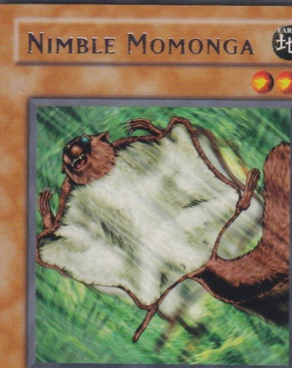 Nimble Momonga MRL-E086