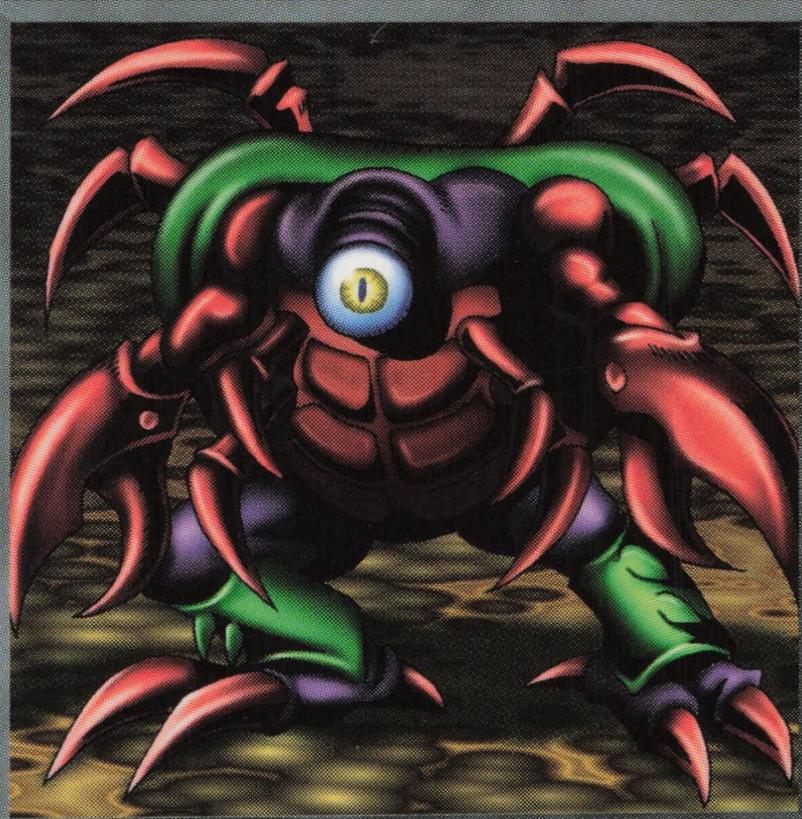 Crab Turtle MRL-E069