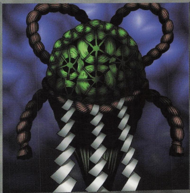 Turtle Oath MRL-E066