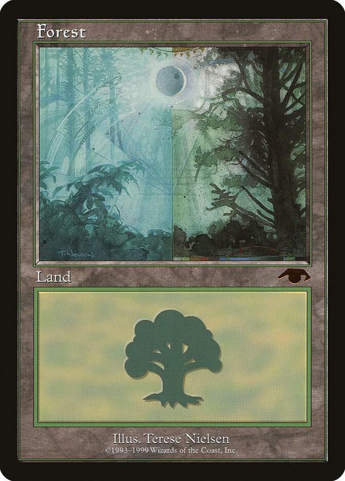 Forest #1