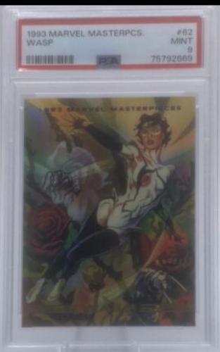 Wasp #62