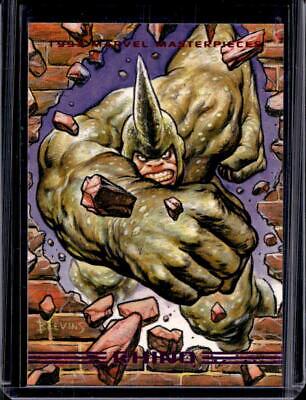 Rhino #48