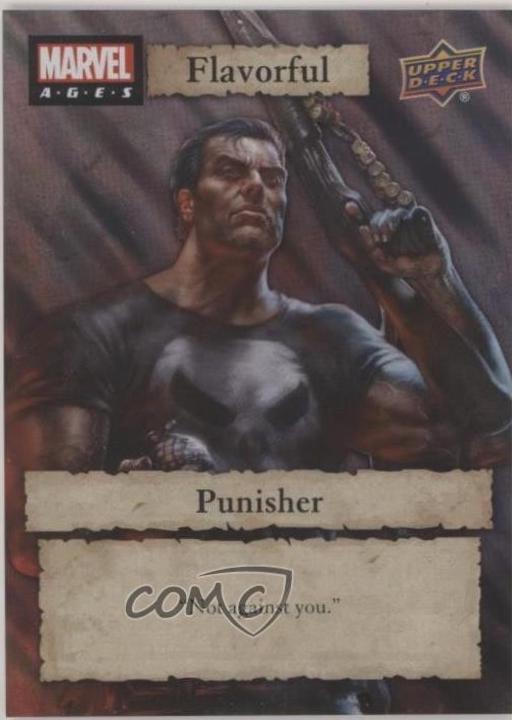 Punisher #F-33