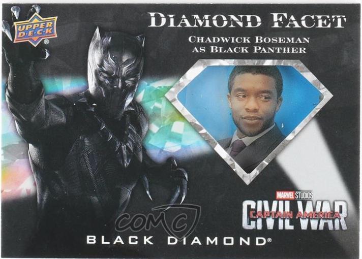 Chadwick Boseman as Black Panther #DF-4