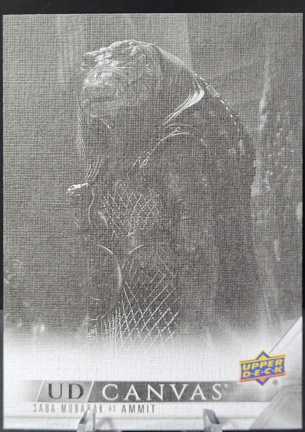 Saba Mubarak as Ammit #C23