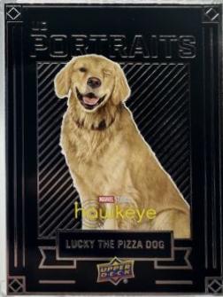Lucky the Pizza Dog #P17