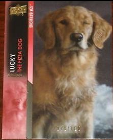 Lucky the Pizza Dog #46