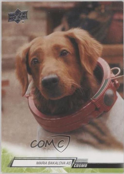 Maria Bakalova as Cosmo #91