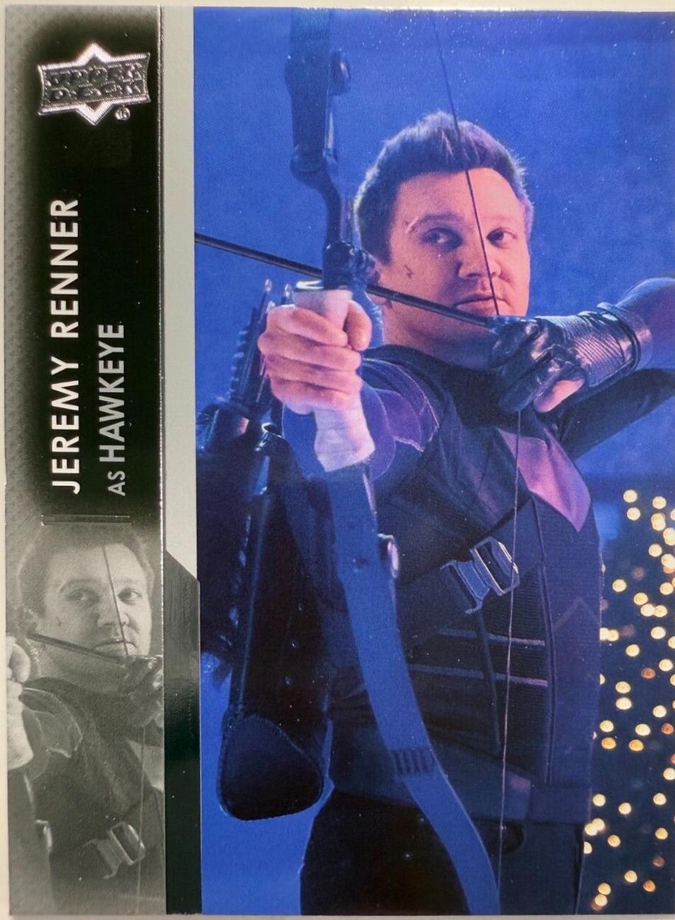 Jeremy Renner as Hawkeye #39