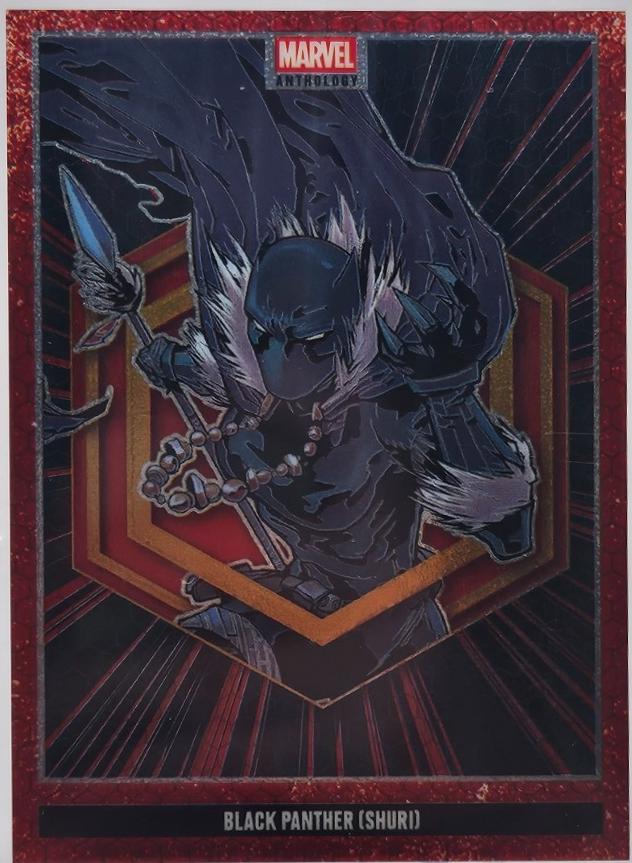 Black Panther #Y5