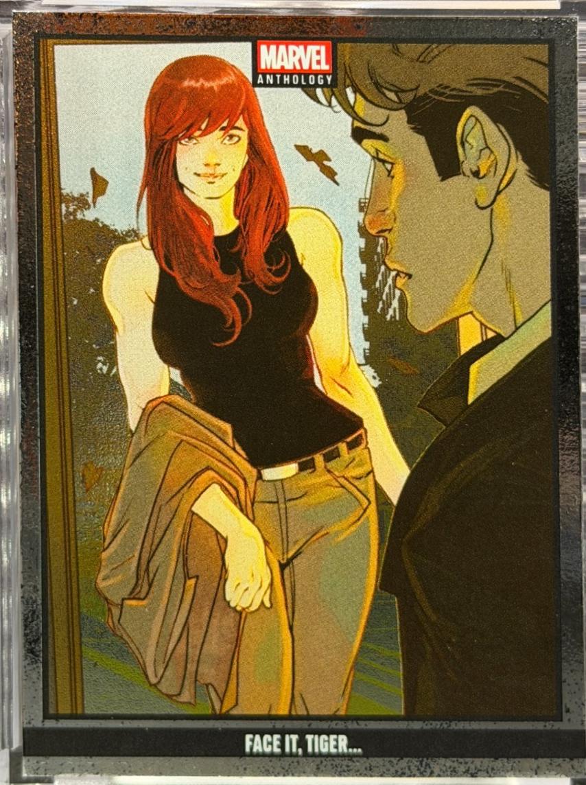 Face It Tiger [Holo Metal] #9