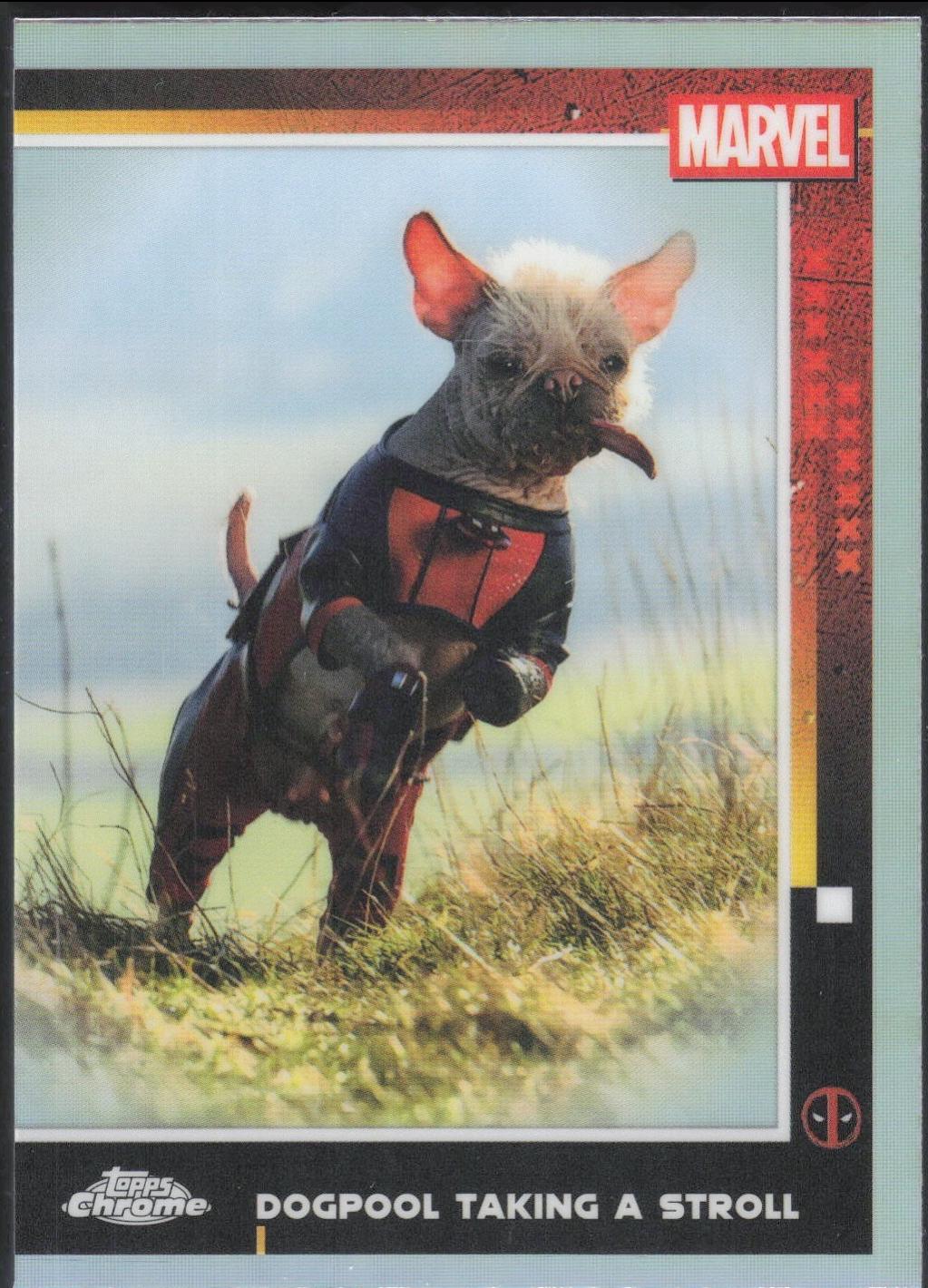 Dogpool Taking A Stroll [Dogpool Refractor] #73