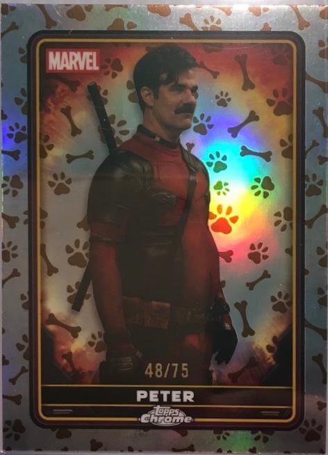 Peter [Dogpool Refractor] #23