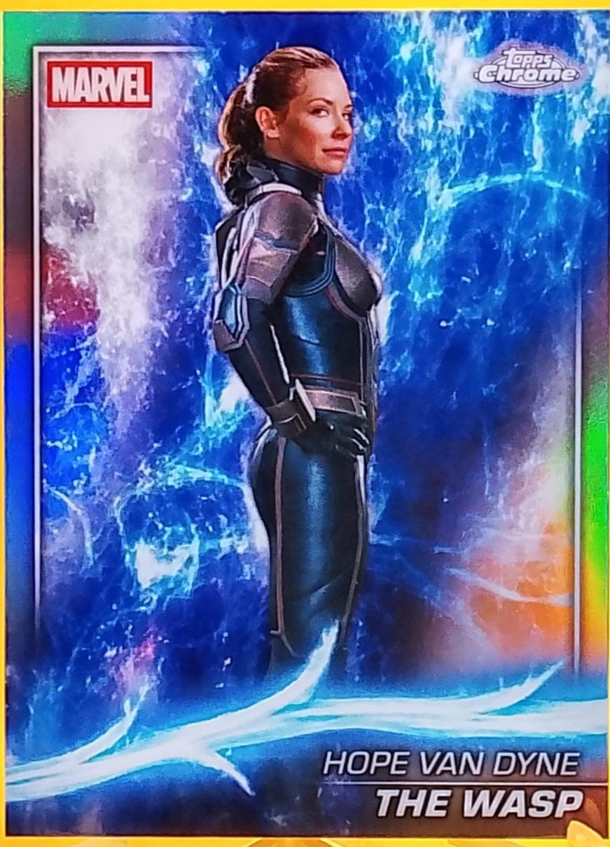 The Wasp #91