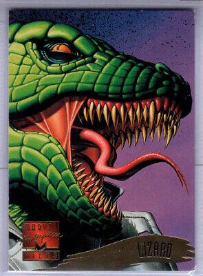 Lizard #130
