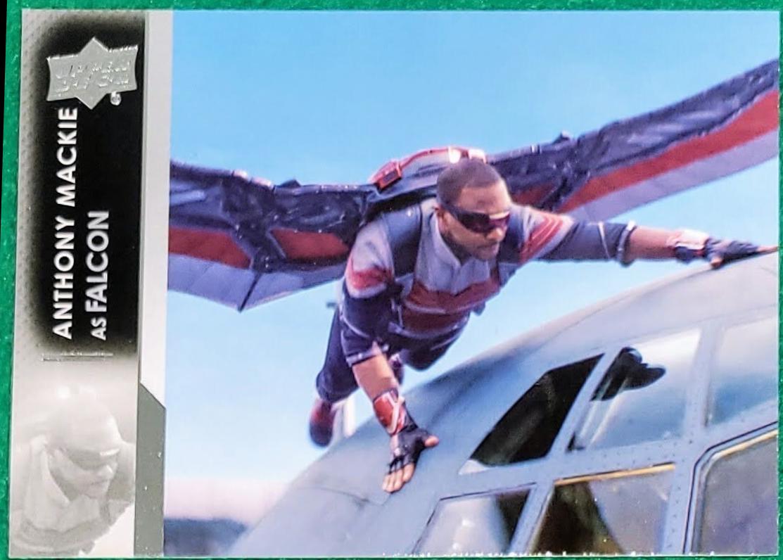 Anthony Mackie as Falcon #16