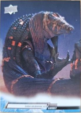 Saba Mubarak as Ammit #58