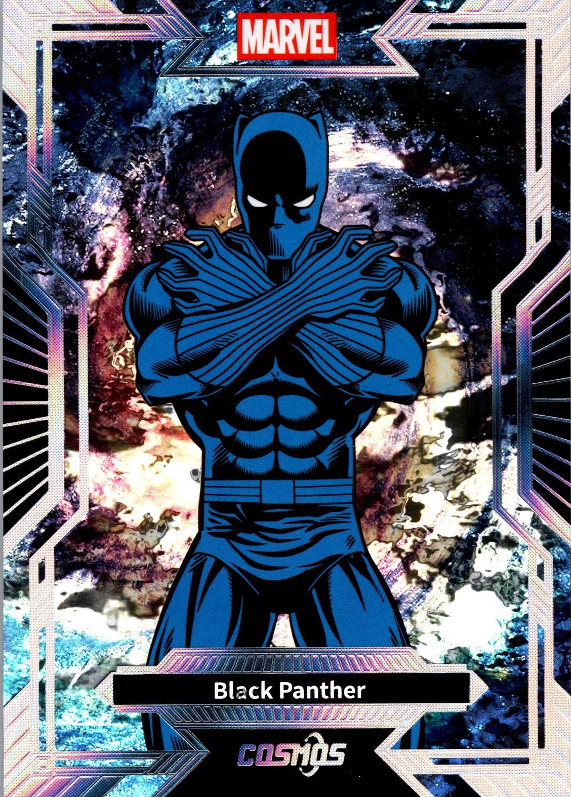 Black Panther [Silver] #CM-I-36