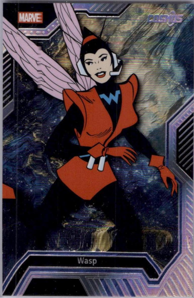 Wasp #CM-C-41