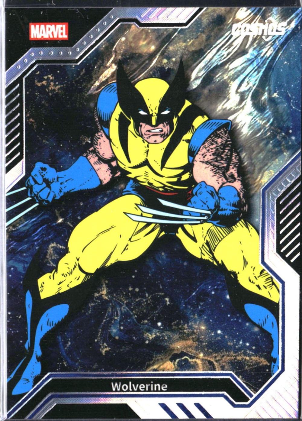 Wolverine #CM-C-18