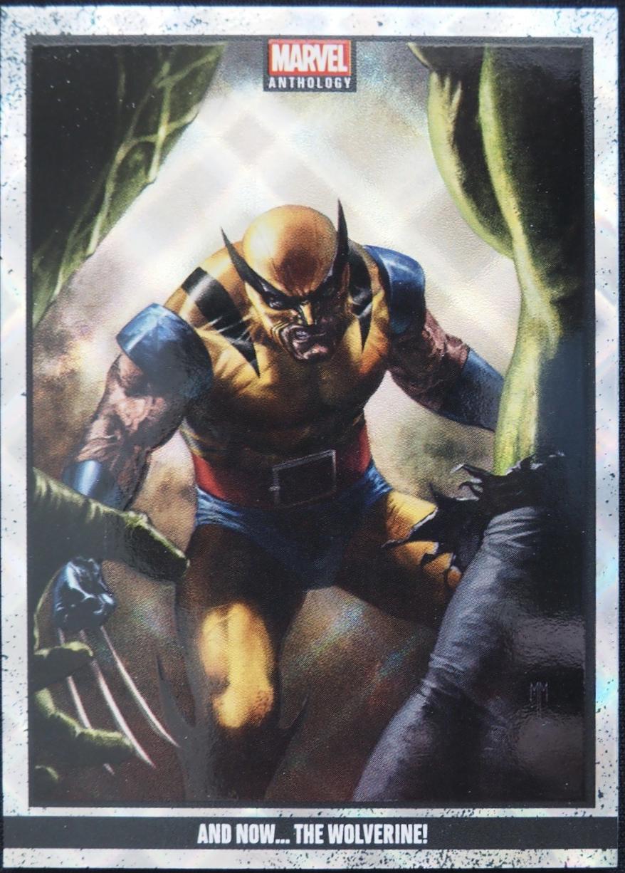 And Now The Wolverine! [Holo Crossed] #14
