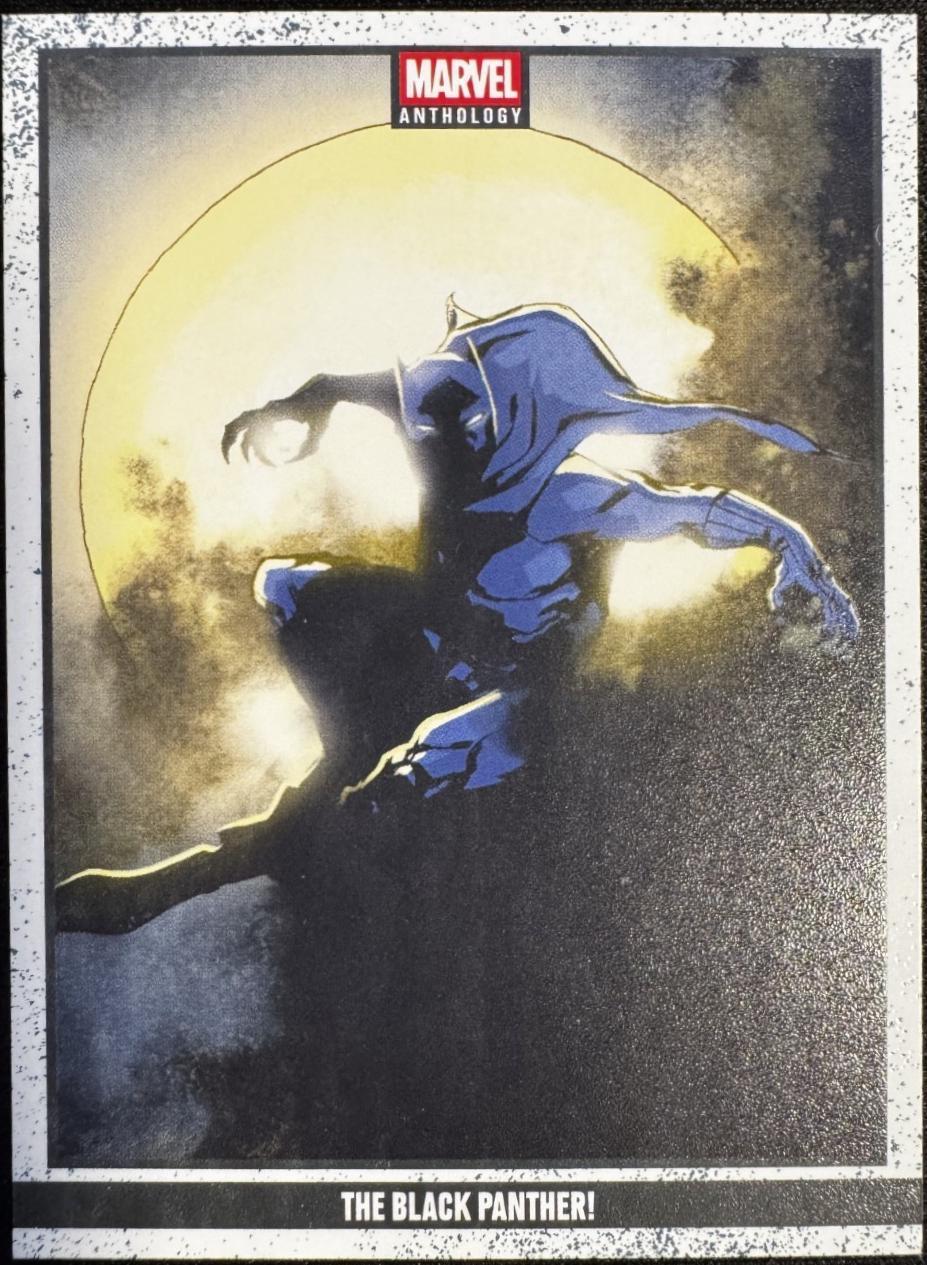 The Black Panther! #8