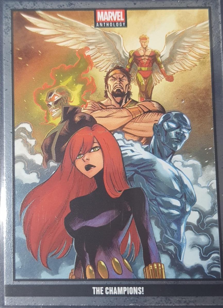 The Champions! [Holo Metal] #13