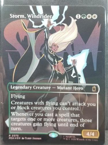 Storm, Windrider [Borderless Foil] #375