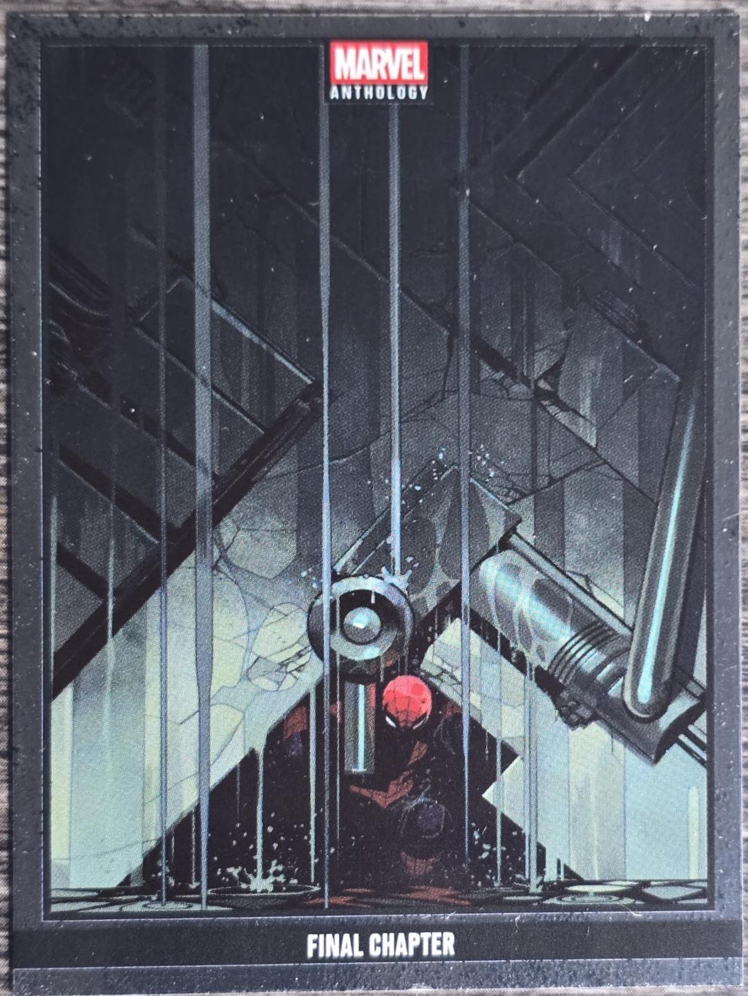 Final Chapter [Holo Metal] #6