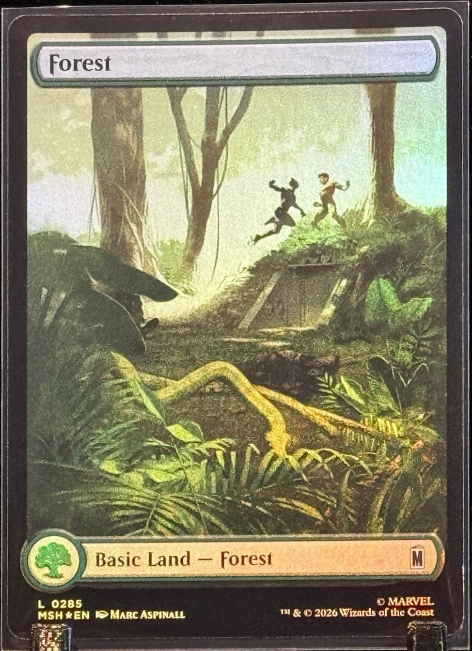 Forest [Foil] #285