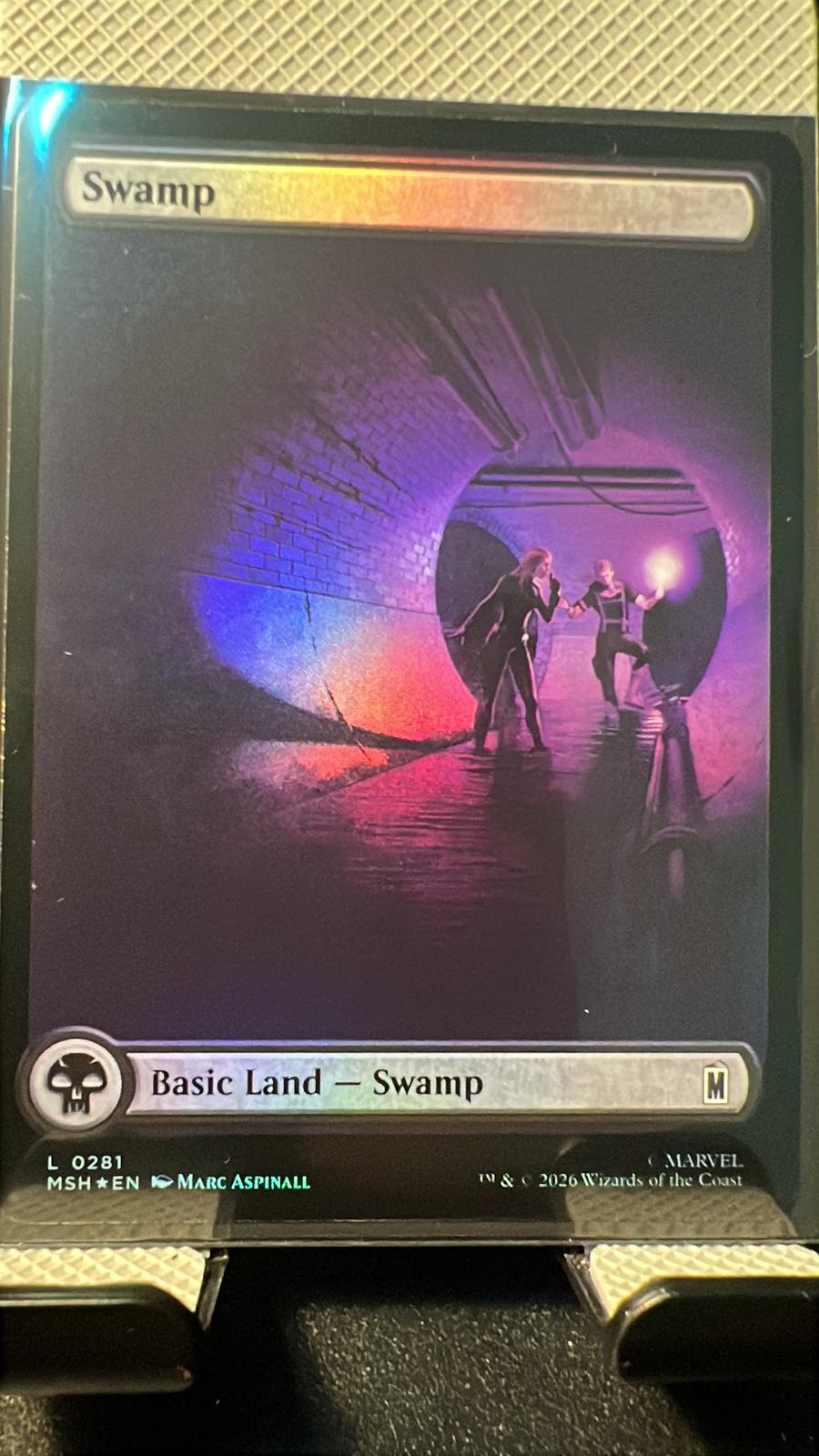 Swamp [Foil] #281