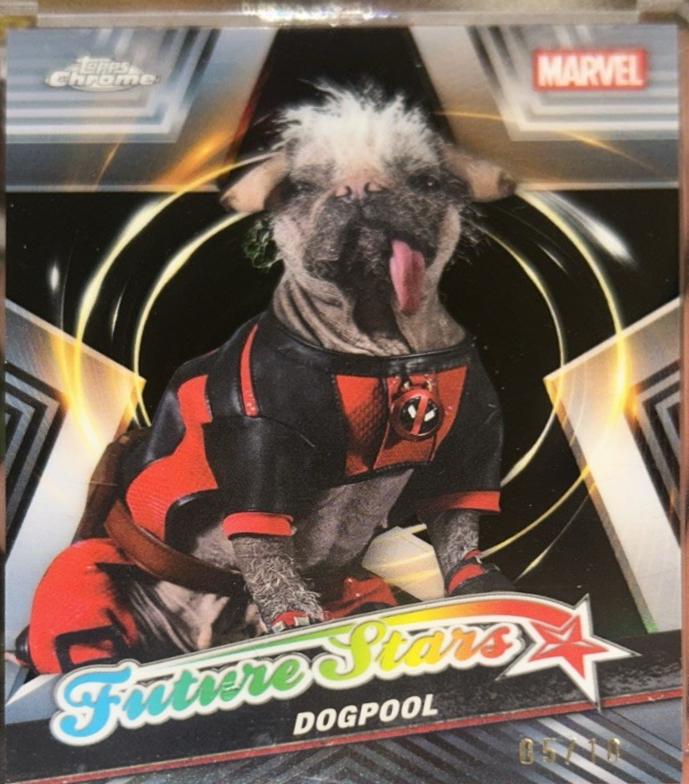 Dogpool [Black] #FS-8