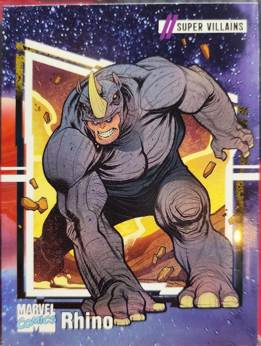 Rhino #45