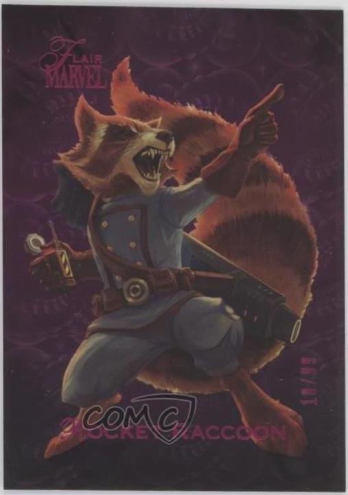Rocket Raccoon [Spring] #12