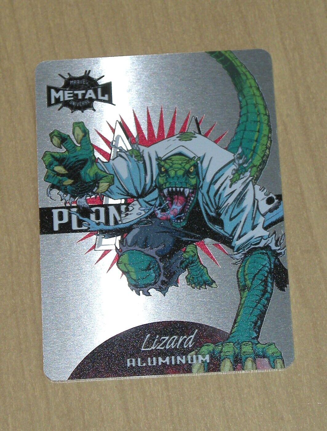 Lizard #8